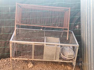 gabbia per conigli 