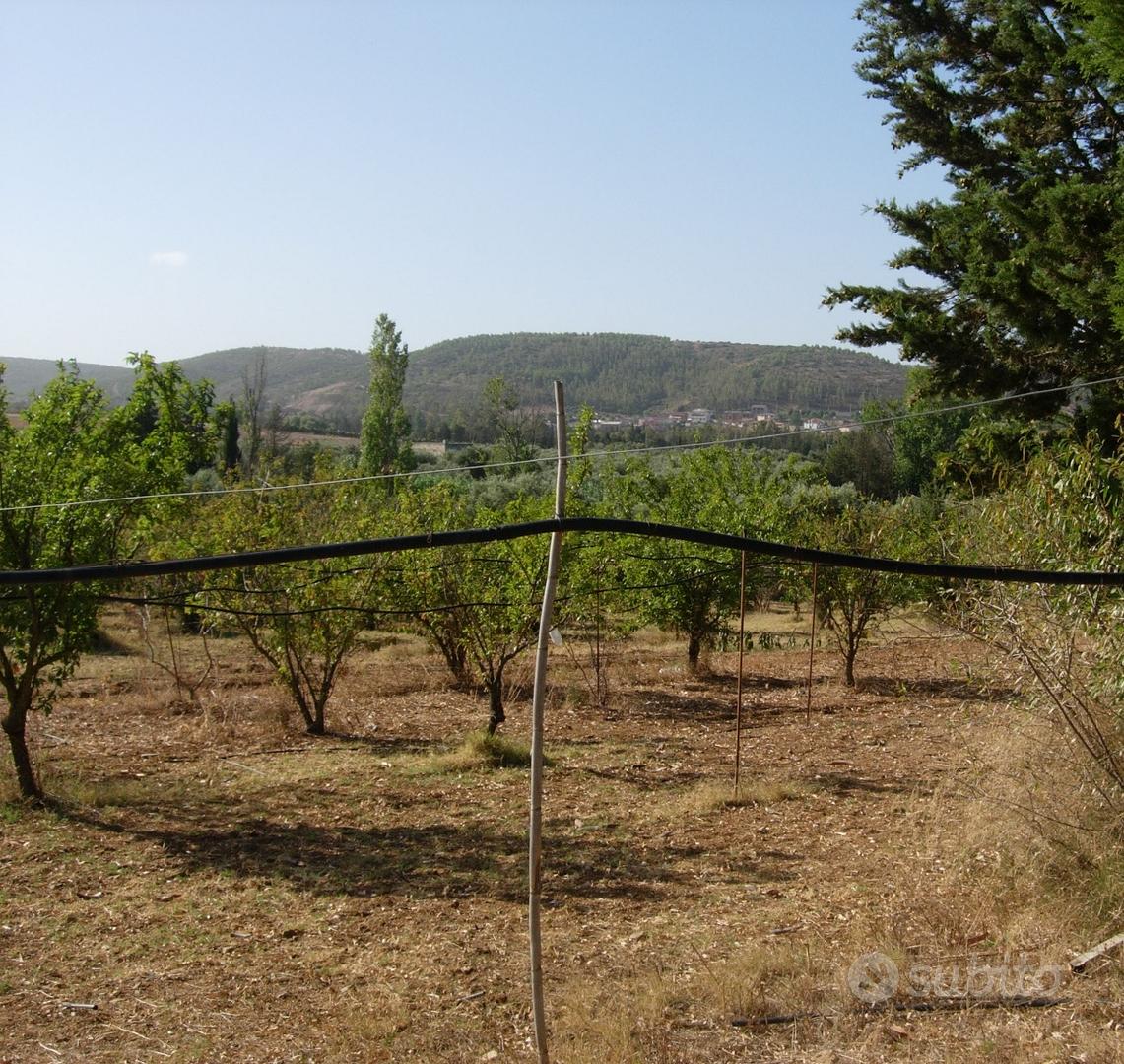 Terreno agricolo - 4 ettari a donori - Vista 3