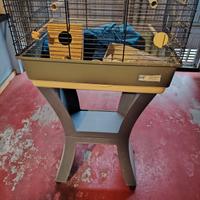 la gabbia per cocorite 