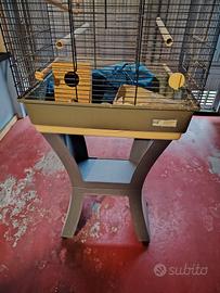 la gabbia per cocorite 