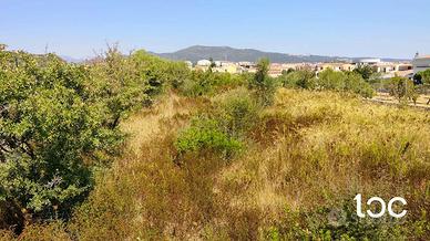 Terreno edificabile nel cuore di Budoni