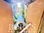 Immagine 26