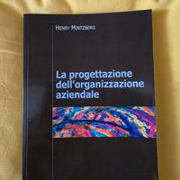 La progettazione dell'organizzazione aziendale