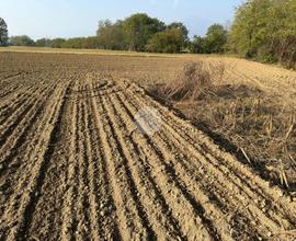 TER. AGRICOLO A CUMIANA