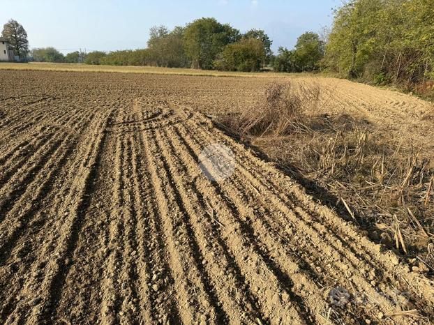 TER. AGRICOLO A CUMIANA