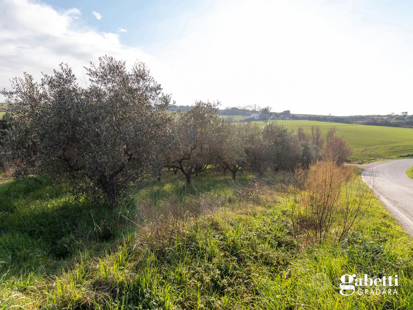 Terreno Agricolo San Giovanni in Marignano - Vista 3