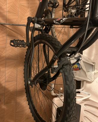 Bicicletta