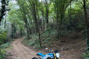 Fb mondial hps ubbiali 125