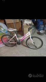 Venfo bici donna la 20