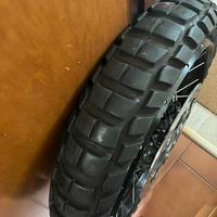 Karoo 4 gs ktm panamerica