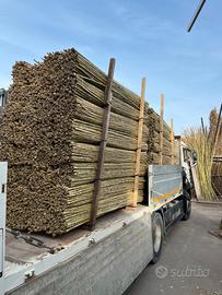 Stuoie in canne lavorazione pagliarelle