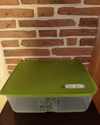 Contenitore da frigo Tupperware 