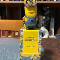 Kevin Thun Minions