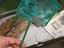 Immagine 5