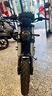 benelli-leoncino-500-trail