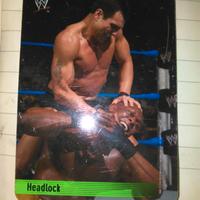 Headlock – WWE SmackDown Raw 2004 n.122/132 – Otti