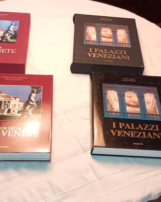 lussuosi volumi ville venete e palazzi veneziani