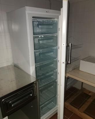 freezer colonna usato marca hightec