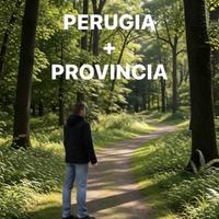 Assistente personale e familiare autista domestico