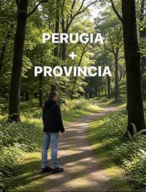 Assistente personale e familiare autista domestico