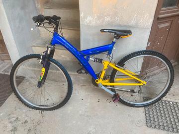 Mountain Bike con cambio shimano a 21 velocità