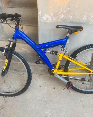 Mountain Bike con cambio shimano a 21 velocità