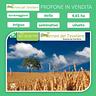4-ettari-torremaggiore-localita-stella