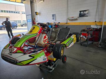 Go kart birel r31