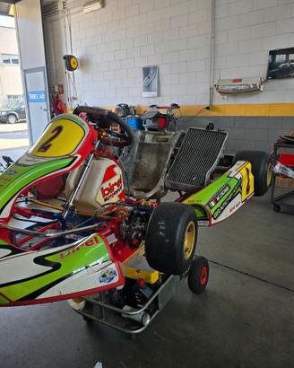 Go kart birel r31
