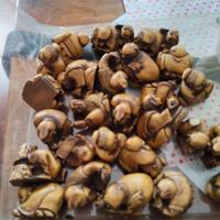 Collezione 26 Netsuke orientali vintage - Lotto co