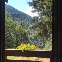 La tua casa nel cuore del bosco