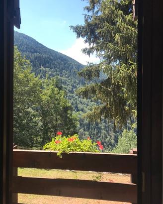 Baita immersa nel bosco del Parco dell'Adamello