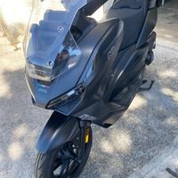KL Brera 300 - 2024
