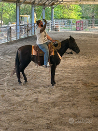 Incrocio Paint x Appendix