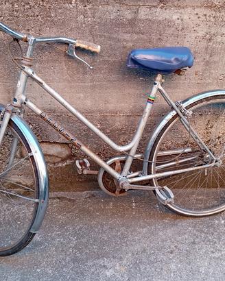biciclette da donna tipo olandese 