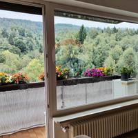 Appartamento - Belluno