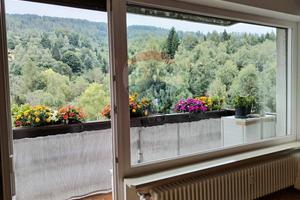 Appartamento - Belluno