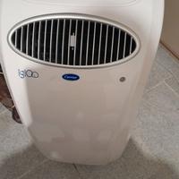 Pinguino  carrier bul 9000