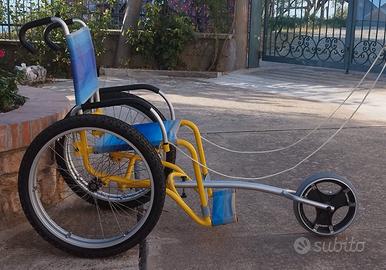 Sedia da mare per diversamente abili