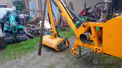 Braccio decespugliatore