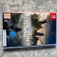 Hogwarts legacy - Nintendo DS