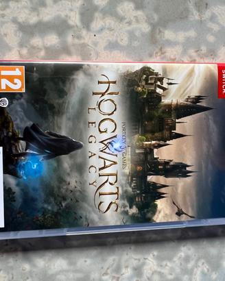 Hogwarts legacy - Nintendo DS