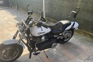 Harley Fat Bob Dyna