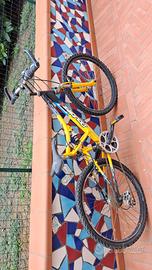bici Mountain bike  24 ragazzo