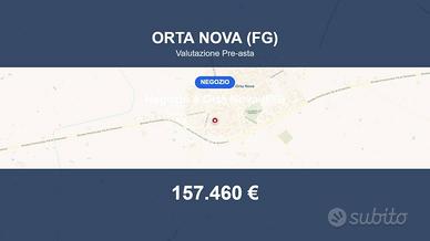 Immobile in asta di 221 m² a Orta Nova