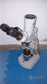 Microscopio Zeiss completo 