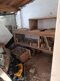 Struttura in legno da ardere