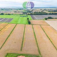 MIRA TERRENO AGRICOLO