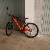 Bici mtb
