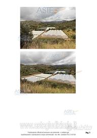 Terreno Agricolo Petrizzi [A4352968]